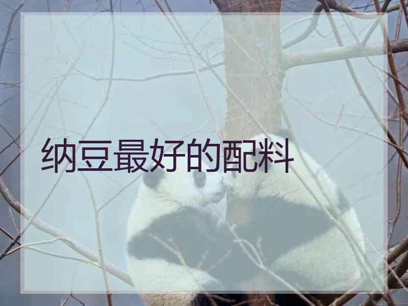 纳豆最好的配料
