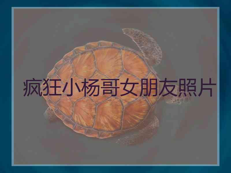 疯狂小杨哥女朋友照片