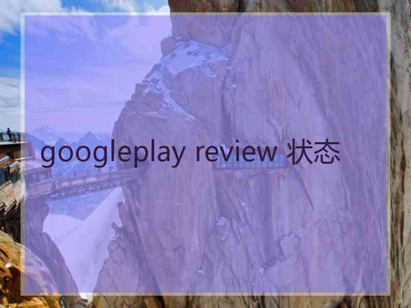 googleplay review 状态