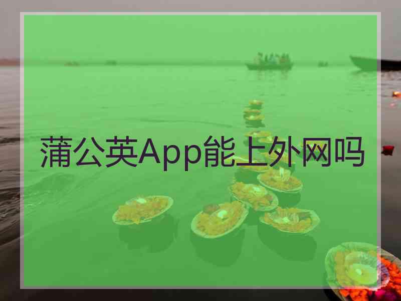 蒲公英App能上外网吗