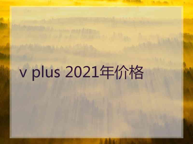 v plus 2021年价格