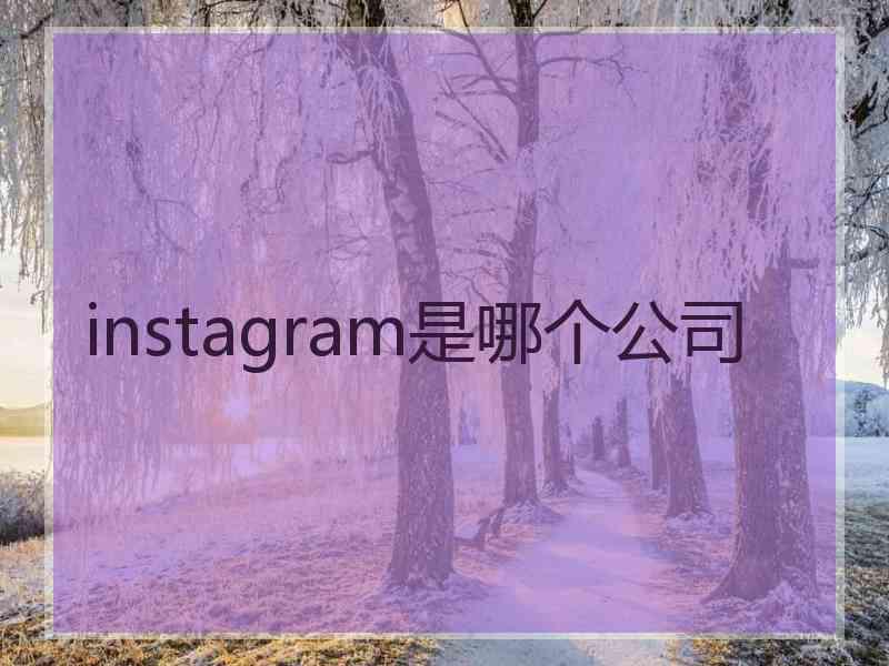 instagram是哪个公司