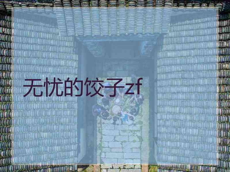 无忧的饺子zf