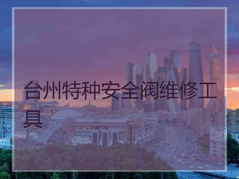 台州特种安全阀维修工具