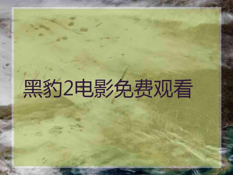 黑豹2电影免费观看