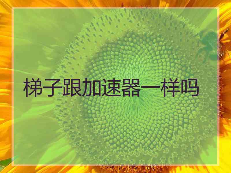 梯子跟加速器一样吗