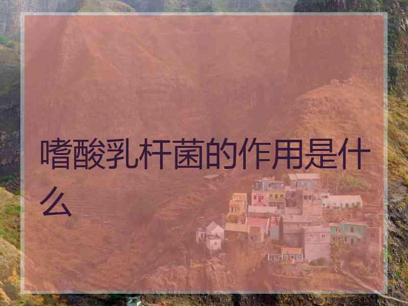 嗜酸乳杆菌的作用是什么