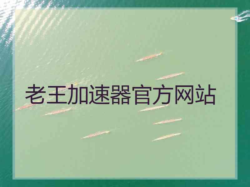 老王加速器官方网站