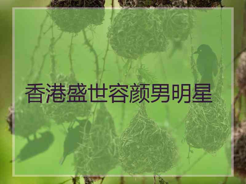 香港盛世容颜男明星
