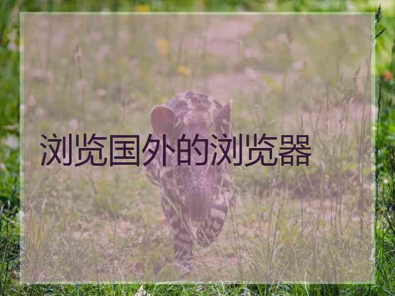 浏览国外的浏览器