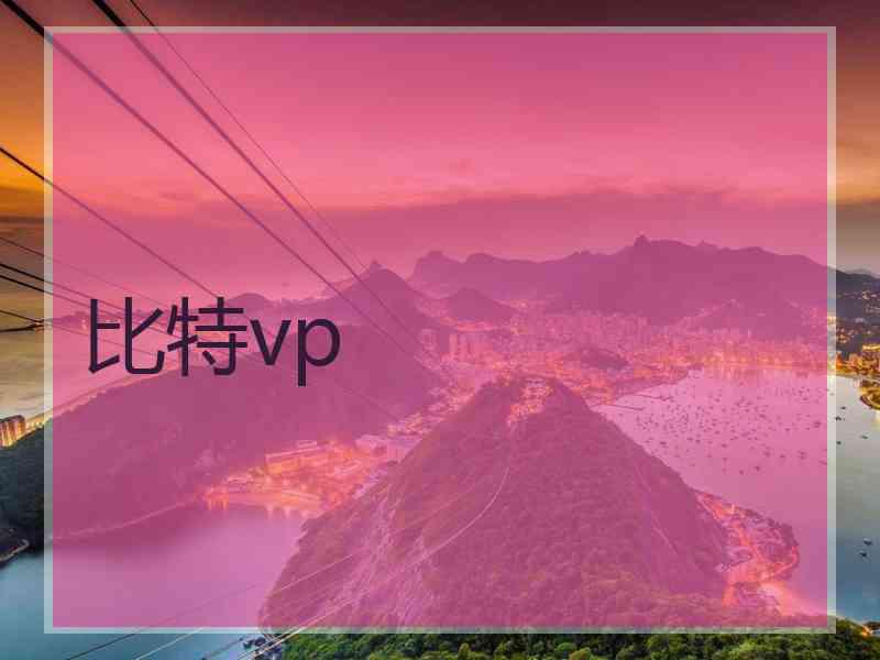 比特vp