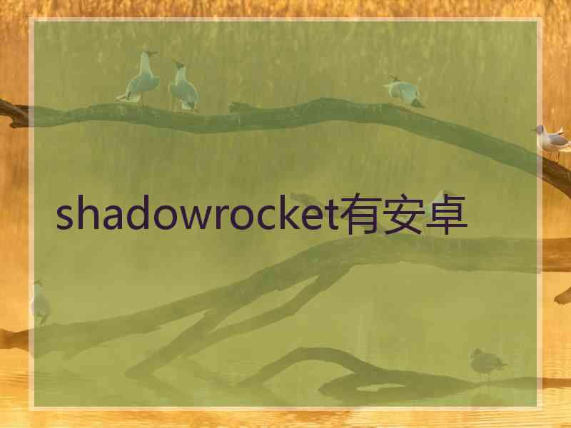 shadowrocket有安卓