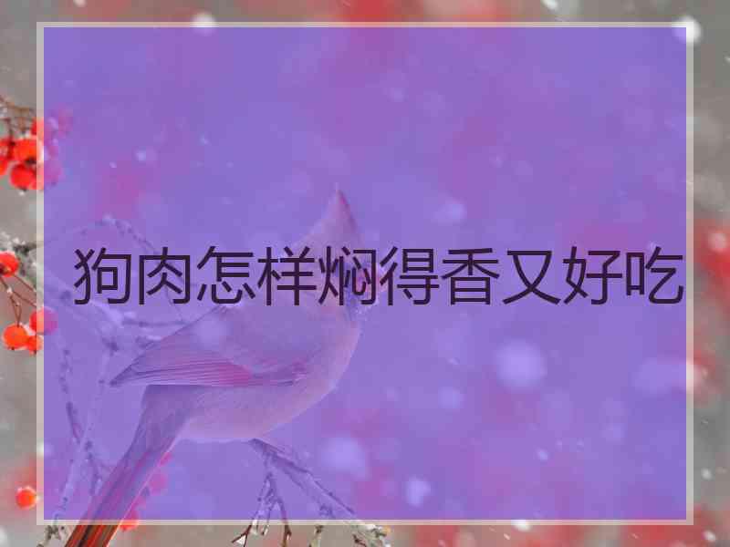狗肉怎样焖得香又好吃