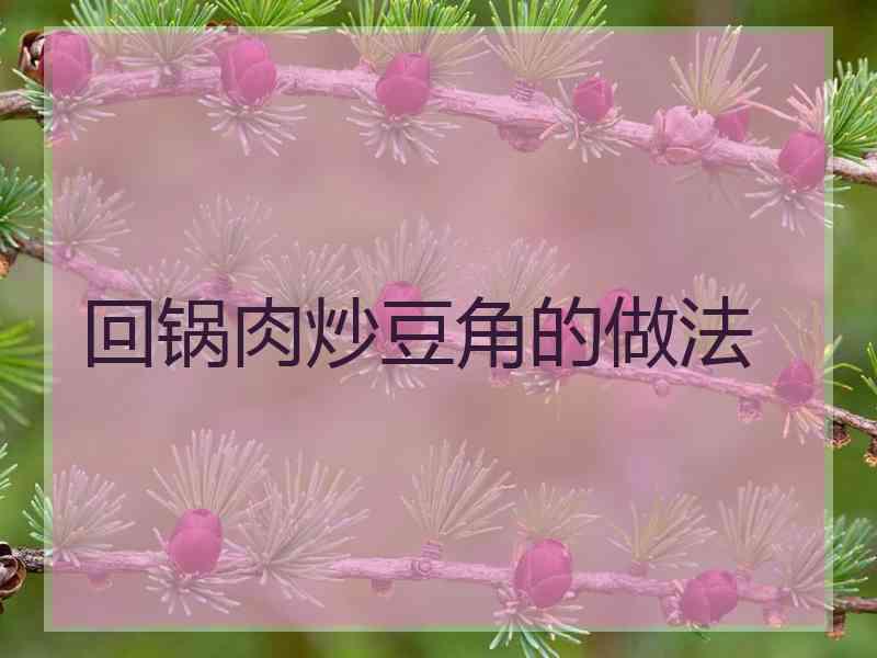 回锅肉炒豆角的做法
