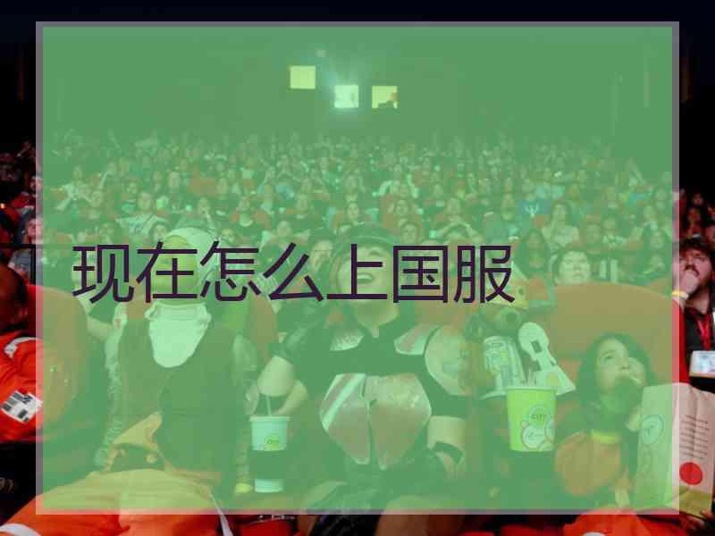 现在怎么上国服