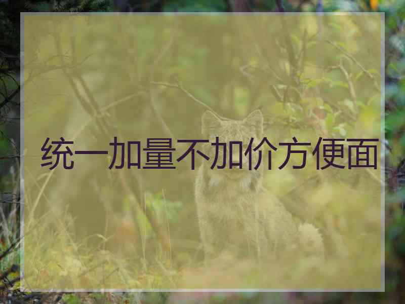 统一加量不加价方便面
