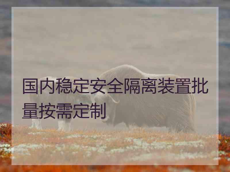 国内稳定安全隔离装置批量按需定制
