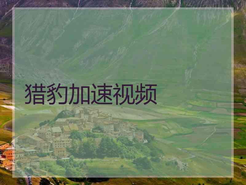 猎豹加速视频