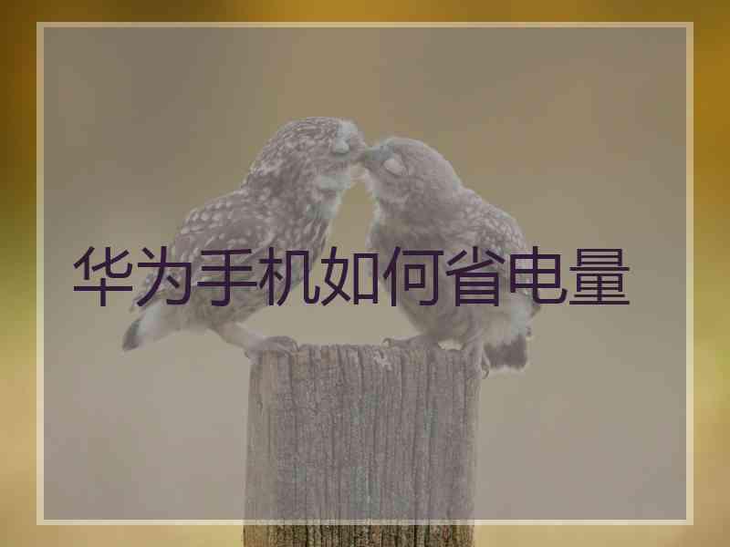 华为手机如何省电量