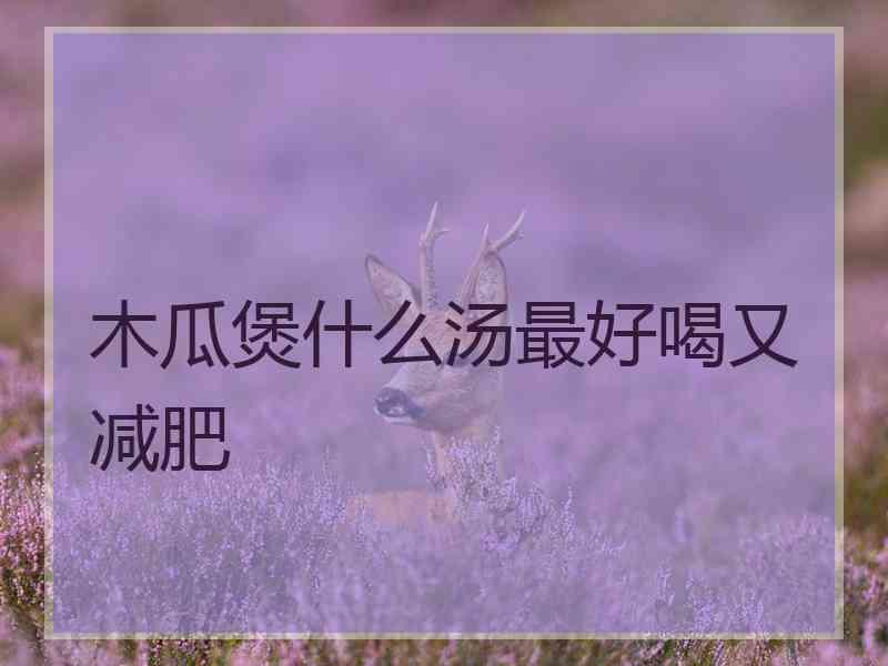 木瓜煲什么汤最好喝又减肥