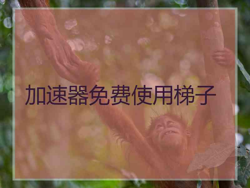 加速器免费使用梯子