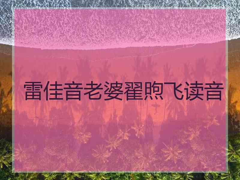 雷佳音老婆翟煦飞读音