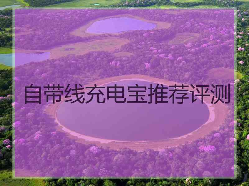 自带线充电宝推荐评测