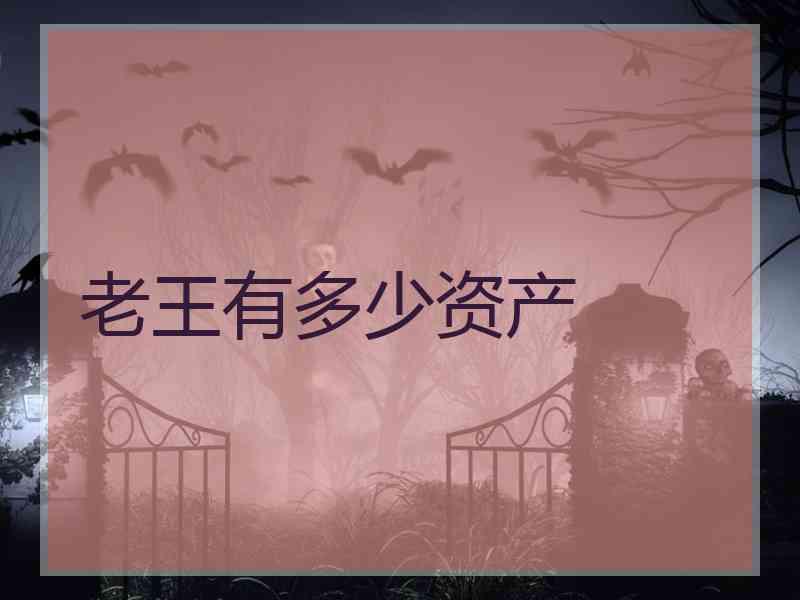 老王有多少资产