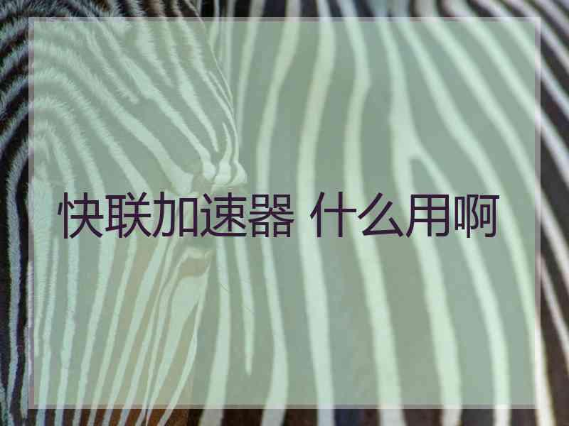 快联加速器 什么用啊