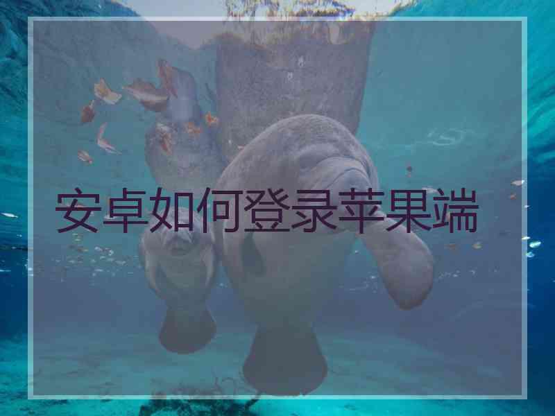 安卓如何登录苹果端