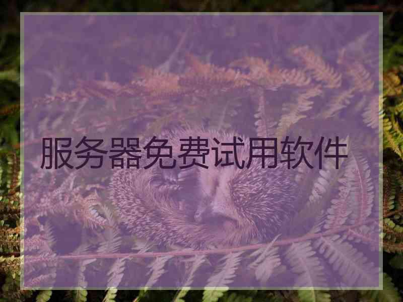 服务器免费试用软件