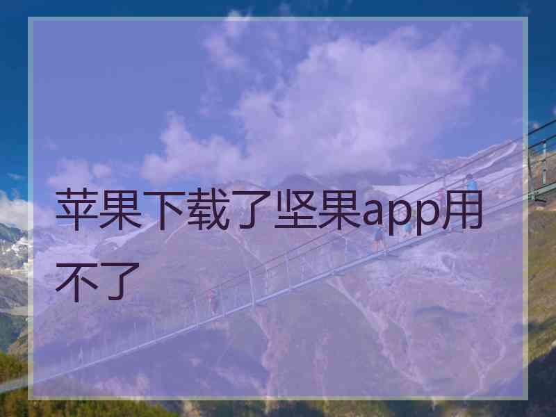 苹果下载了坚果app用不了