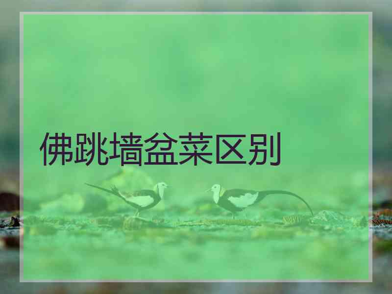 佛跳墙盆菜区别