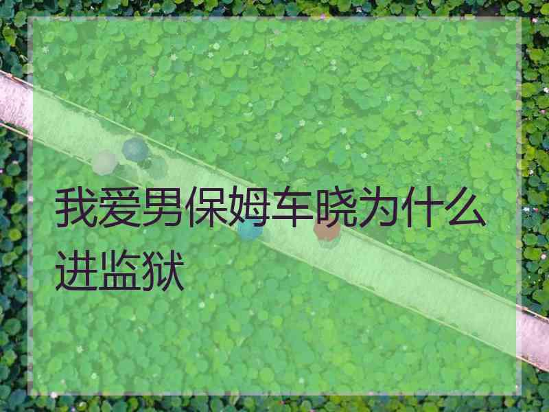 我爱男保姆车晓为什么进监狱