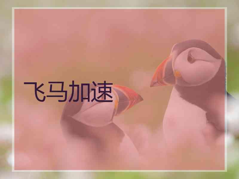 飞马加速