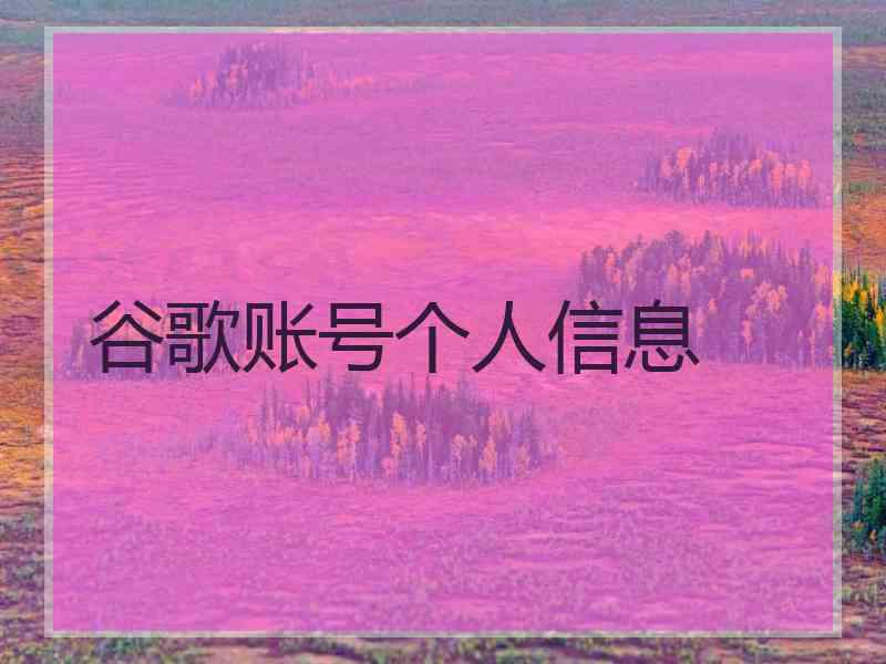 谷歌账号个人信息
