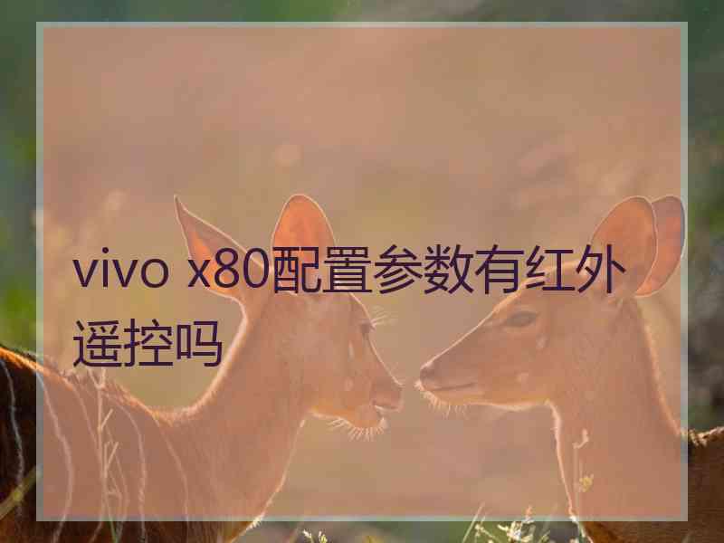 vivo x80配置参数有红外遥控吗