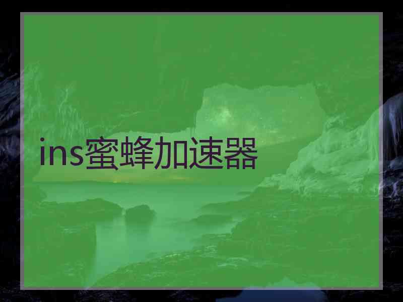 ins蜜蜂加速器