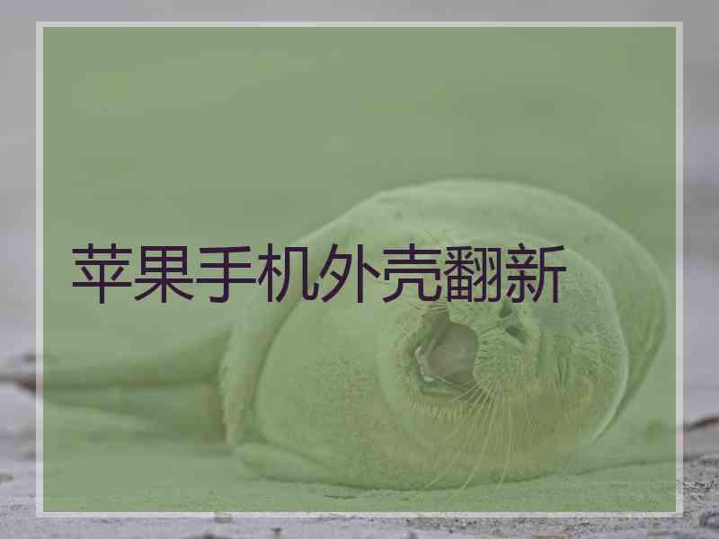 苹果手机外壳翻新