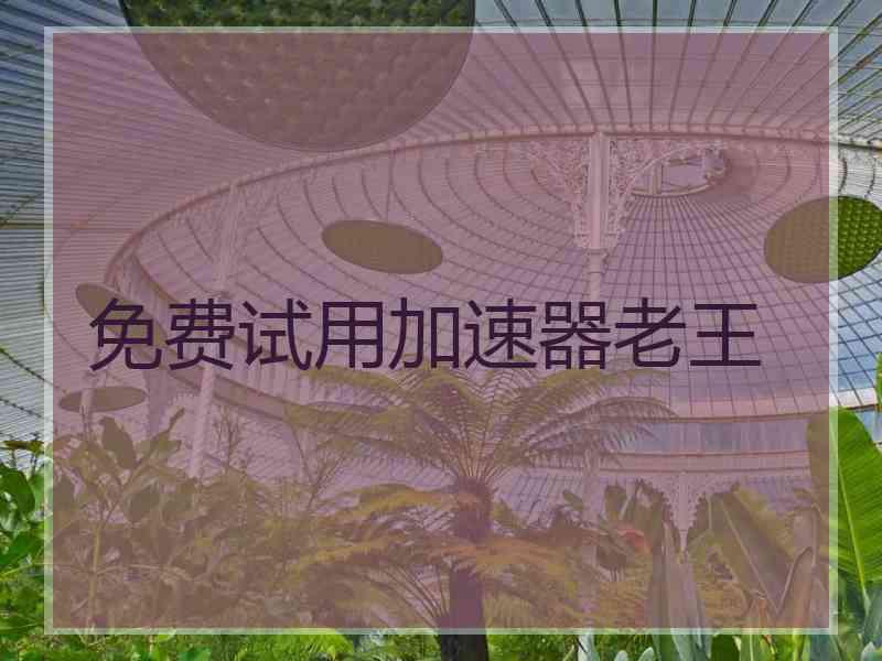 免费试用加速器老王