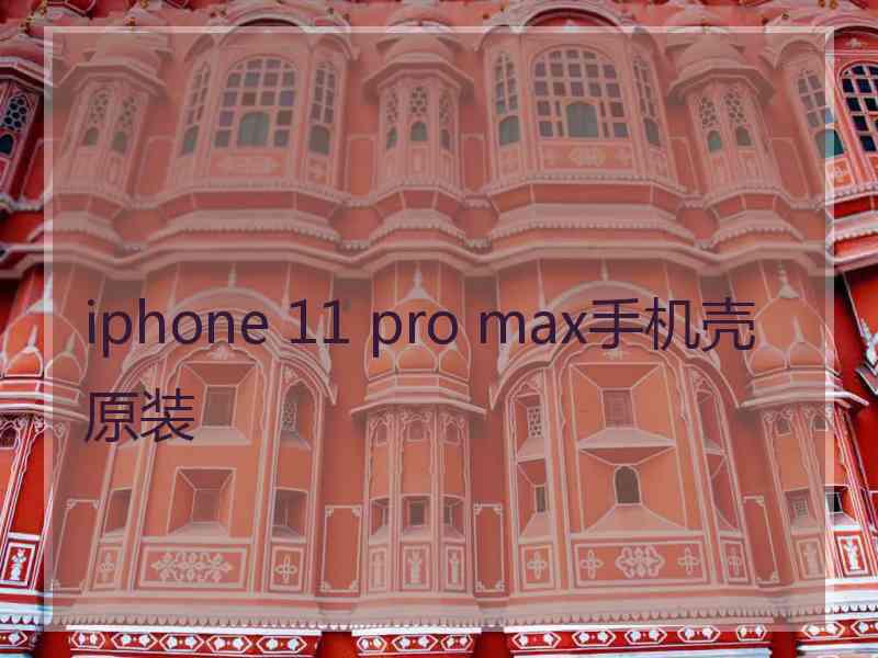 iphone 11 pro max手机壳原装