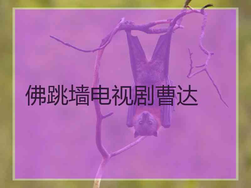 佛跳墙电视剧曹达