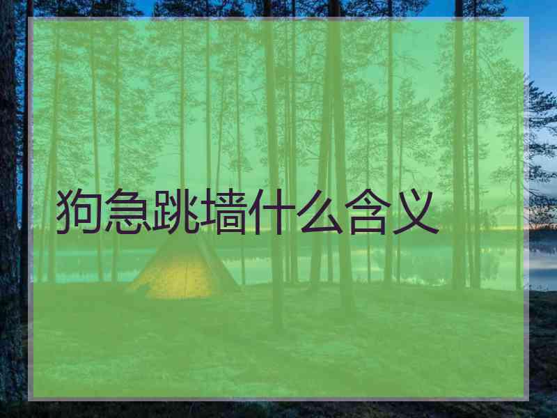 狗急跳墙什么含义