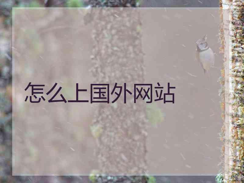 怎么上国外网站