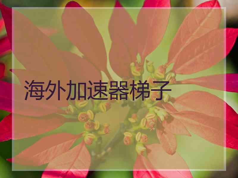 海外加速器梯子