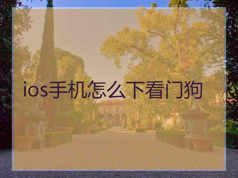 ios手机怎么下看门狗
