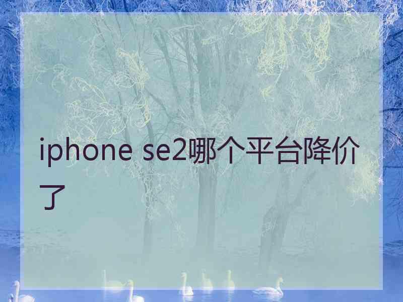 iphone se2哪个平台降价了