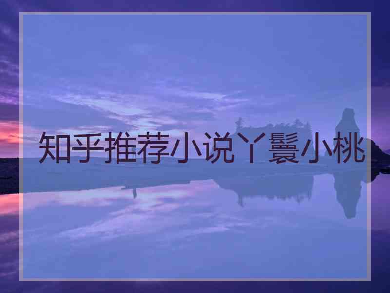 知乎推荐小说丫鬟小桃