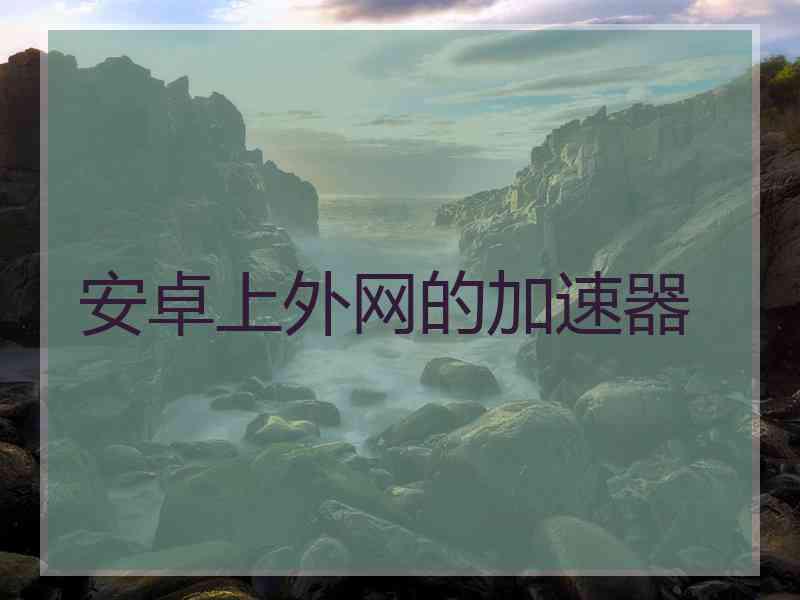 安卓上外网的加速器