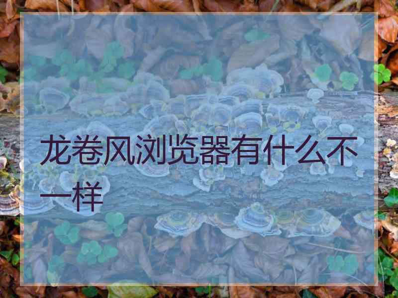龙卷风浏览器有什么不一样